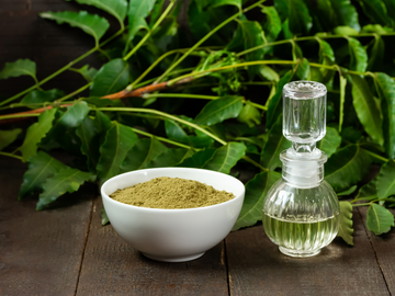 Neem Leaf Powder : Your Natural Shield This Monsoon