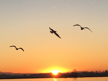 Are You Starting Your Morning the Right Way?