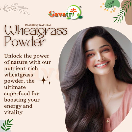 Gavatri Classic And Natural Wheatgrass Powder - Healthy Superfood